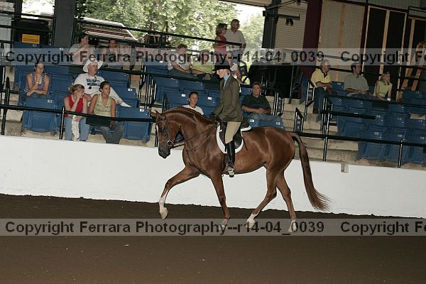 Proof Number r14-04_0039